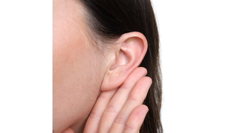 L'oreille absolue : pourquoi la période 3-6 ans est critique pour les langues secteur Aubergenville