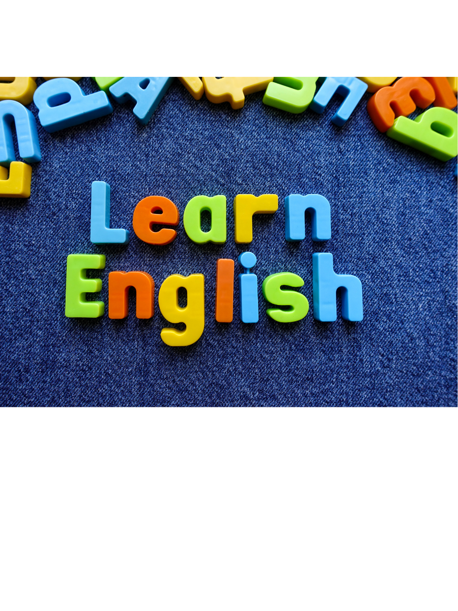 Collège Petite Ecole Trilingue à Gargenville : l’immersion linguistique, un atout décisif face à l’enseignement classique des langues