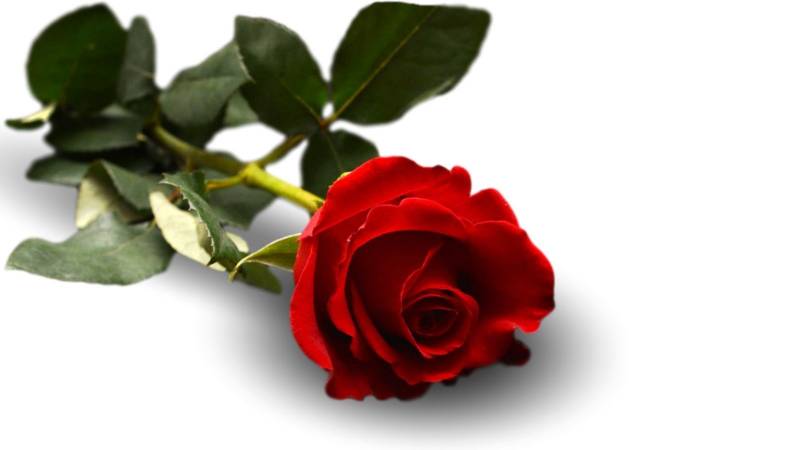 L'espagnol dans le monde