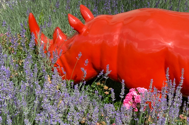 ECOLE PRIVEE PRIMAIRE BILINGUE DANS LES YVELINES