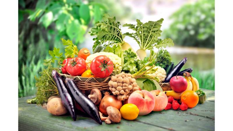 ECOLE MONTESSORI BONNE REPUTATION  78 GARGENVILLE